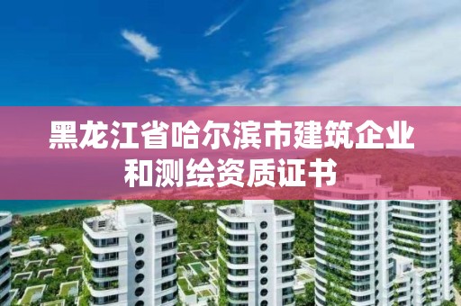 黑龍江省哈爾濱市建筑企業和測繪資質證書