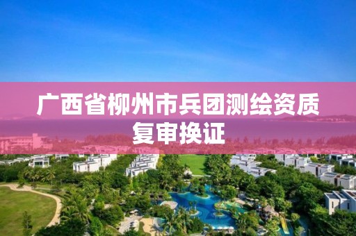 廣西省柳州市兵團測繪資質復審換證