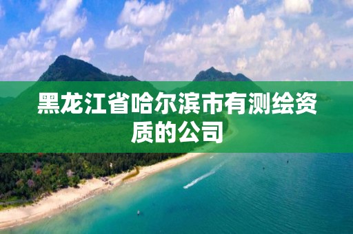 黑龍江省哈爾濱市有測繪資質的公司