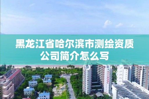 黑龍江省哈爾濱市測繪資質(zhì)公司簡介怎么寫