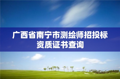 廣西省南寧市測繪師招投標資質證書查詢