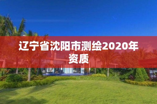 遼寧省沈陽市測繪2020年資質