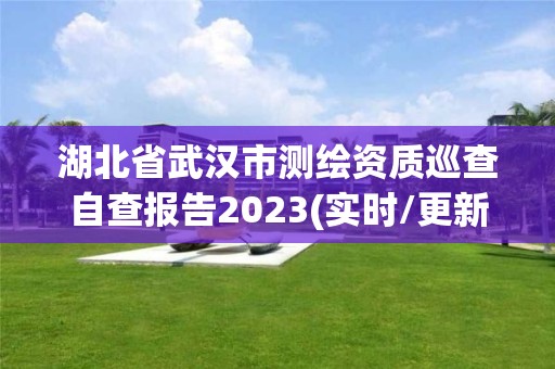 湖北省武漢市測繪資質巡查自查報告2023(實時/更新中)