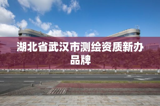 湖北省武漢市測繪資質新辦品牌