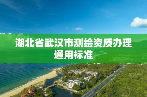 湖北省武漢市測繪資質辦理通用標準