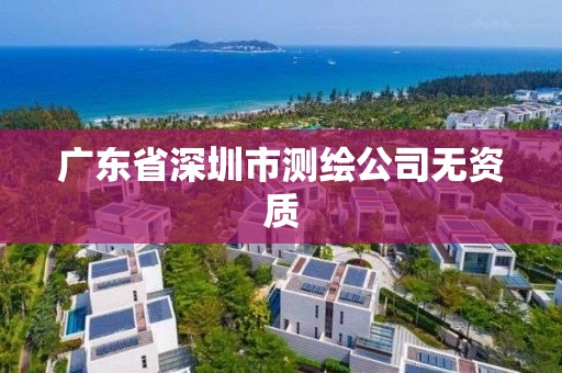 廣東省深圳市測繪公司無資質