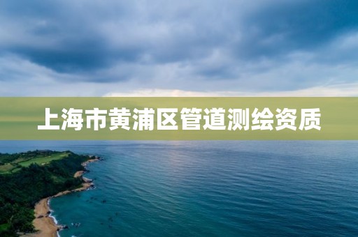 上海市黃浦區管道測繪資質