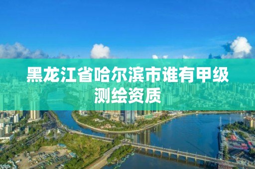 黑龍江省哈爾濱市誰有甲級測繪資質(zhì)