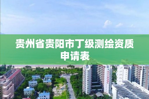 貴州省貴陽市丁級測繪資質申請表