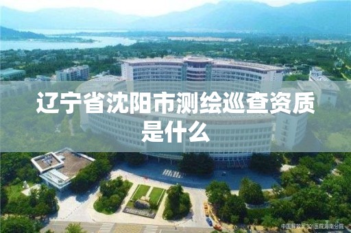 遼寧省沈陽市測繪巡查資質是什么