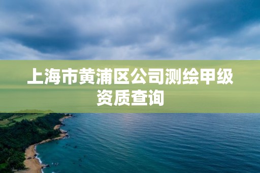 上海市黃浦區公司測繪甲級資質查詢