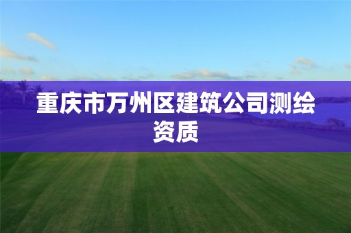 重慶市萬州區建筑公司測繪資質