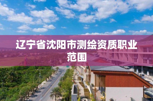 遼寧省沈陽市測繪資質職業范圍