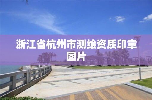 浙江省杭州市測繪資質印章圖片