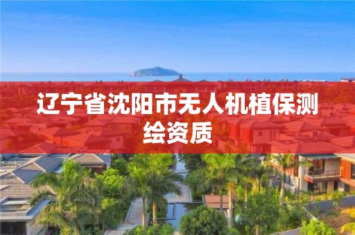 遼寧省沈陽(yáng)市無(wú)人機(jī)植保測(cè)繪資質(zhì)