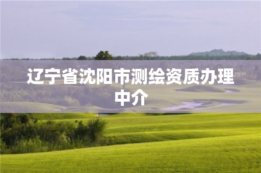 遼寧省沈陽市測繪資質(zhì)辦理中介