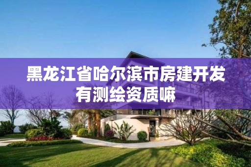 黑龍江省哈爾濱市房建開發(fā)有測繪資質(zhì)嘛