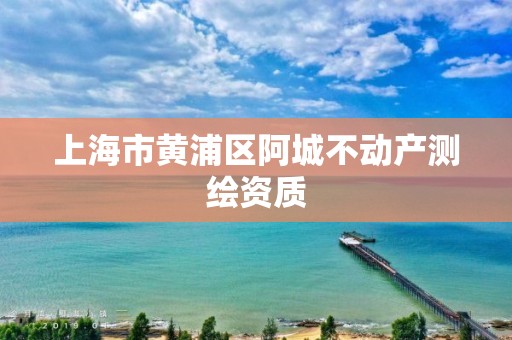 上海市黃浦區(qū)阿城不動產(chǎn)測繪資質(zhì)