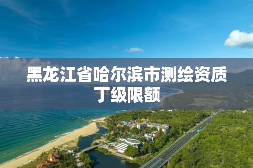 黑龍江省哈爾濱市測繪資質丁級限額