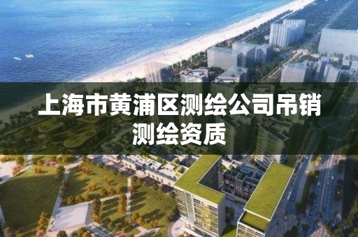 上海市黃浦區測繪公司吊銷測繪資質