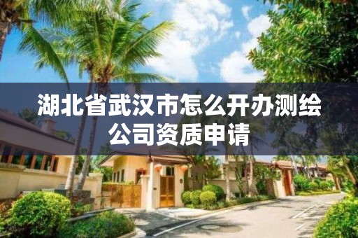 湖北省武漢市怎么開辦測繪公司資質申請