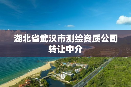 湖北省武漢市測繪資質公司轉讓中介