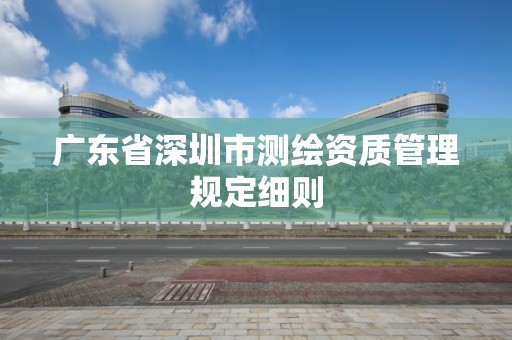 廣東省深圳市測繪資質管理規定細則