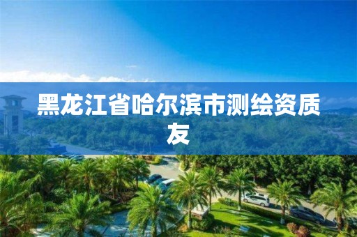 黑龍江省哈爾濱市測繪資質友