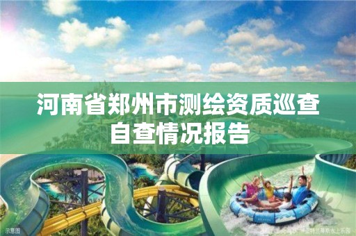 河南省鄭州市測繪資質巡查自查情況報告