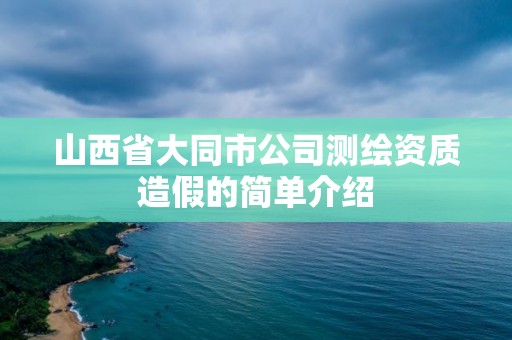 山西省大同市公司測繪資質(zhì)造假的簡單介紹