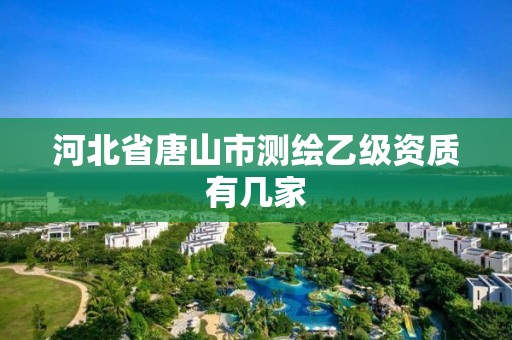 河北省唐山市測繪乙級資質有幾家