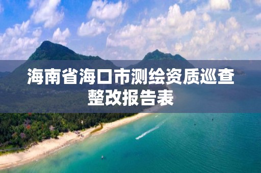 海南省海口市測繪資質巡查整改報告表