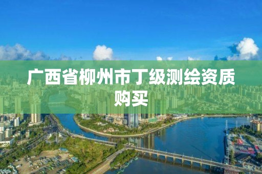 廣西省柳州市丁級測繪資質購買