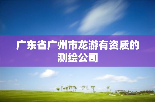 廣東省廣州市龍游有資質(zhì)的測(cè)繪公司