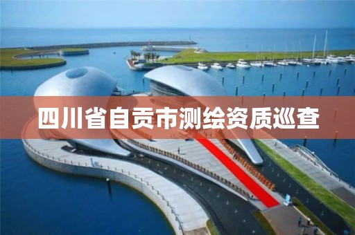 四川省自貢市測繪資質(zhì)巡查