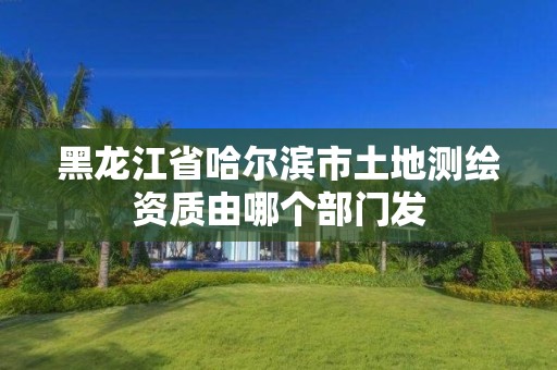 黑龍江省哈爾濱市土地測繪資質由哪個部門發