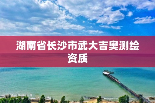 湖南省長沙市武大吉奧測繪資質(zhì)