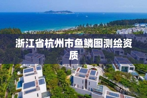 浙江省杭州市魚鱗圖測繪資質