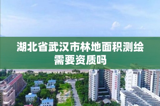 湖北省武漢市林地面積測繪需要資質嗎