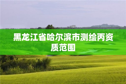 黑龍江省哈爾濱市測(cè)繪丙資質(zhì)范圍