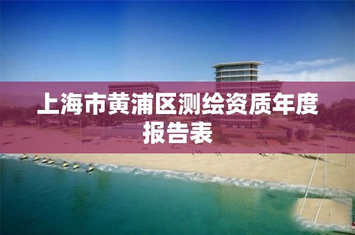 上海市黃浦區測繪資質年度報告表