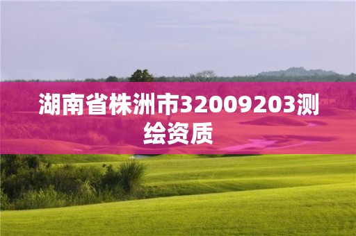 湖南省株洲市32009203測繪資質(zhì)