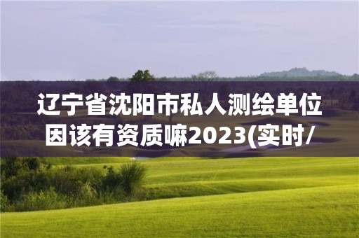 遼寧省沈陽市私人測繪單位因該有資質嘛2023(實時/更新中)