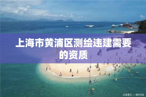 上海市黃浦區(qū)測繪違建需要的資質(zhì)