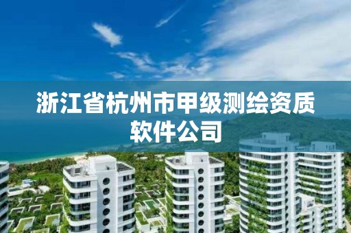 浙江省杭州市甲級測繪資質軟件公司