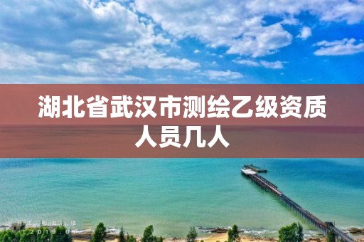 湖北省武漢市測繪乙級資質(zhì)人員幾人