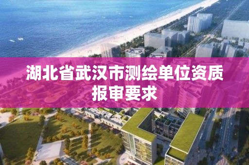 湖北省武漢市測繪單位資質報審要求