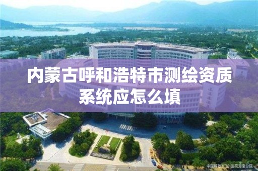 內蒙古呼和浩特市測繪資質系統應怎么填