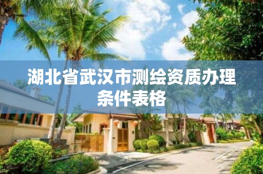 湖北省武漢市測繪資質辦理條件表格