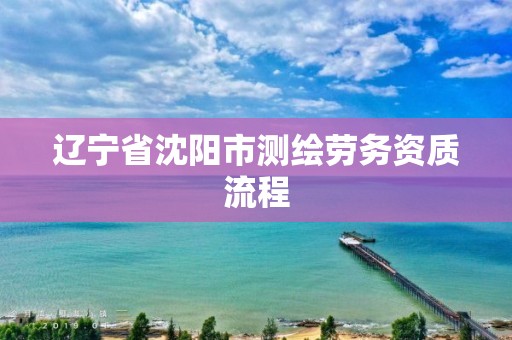 遼寧省沈陽市測繪勞務資質流程